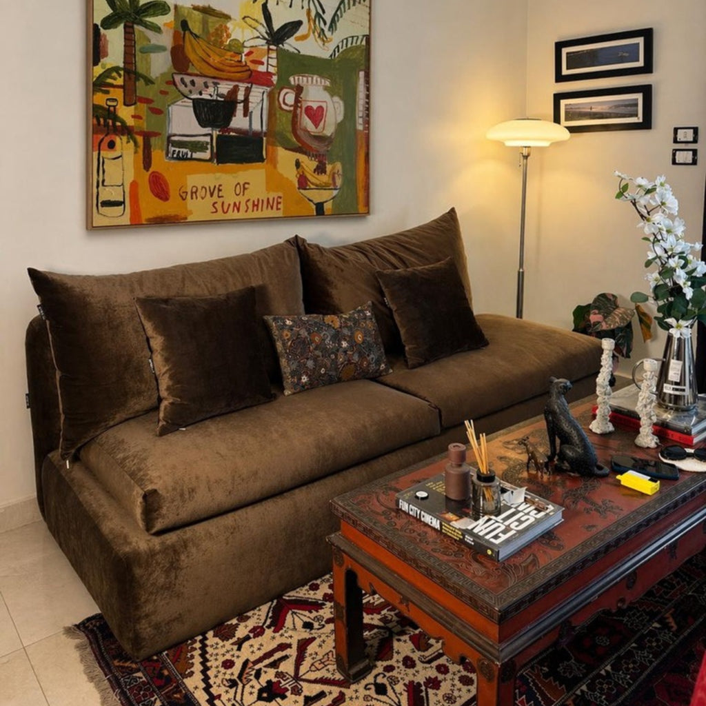 Fluffy Brown Sofa